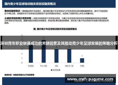 深圳青年职业联赛成功的关键因素及其推动青少年足球发展的策略分析 深圳青年职业联赛成功的关键因素及其推动青少年足球发展的策略分析